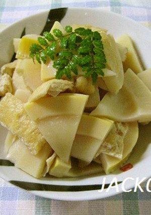 春を味わう♪たけのことお揚げの煮物-レシピのメイン写真