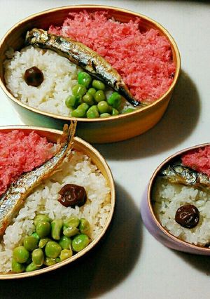 サツキちゃんの手作り弁当:となりのトトロ-レシピのメイン写真