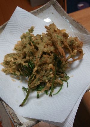 我が家流☆春菊の天ぷら-レシピのメイン写真