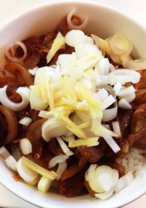 鶏モモと玉葱丼-レシピのメイン写真