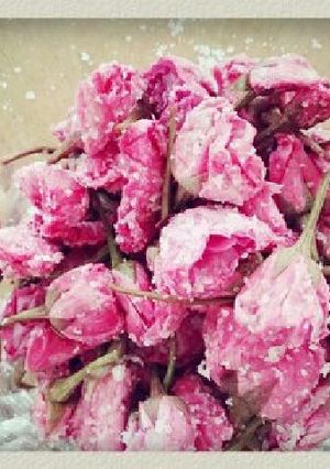 八重桜＊塩漬け＊鮮やかなピンク-レシピのメイン写真