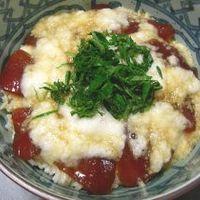 基本からアレンジまで！思わずつくりたくなる「山芋 ねぎ やまかけ」の