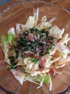 生姜香る〜白菜シャキシャキサラダ-レシピのメイン写真
