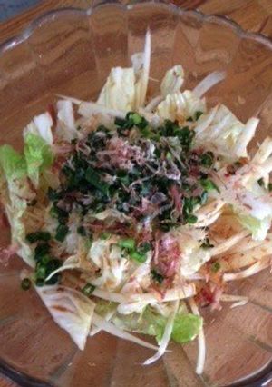 生姜香る〜白菜シャキシャキサラダ-レシピのメイン写真