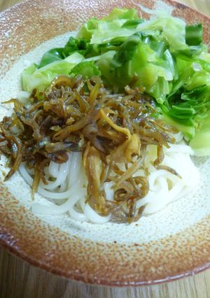 春キャベツといかなご釘煮のぶっかけうどん-レシピのメイン写真