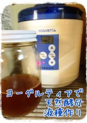 ヨーグルティアで天然酵母液種作り。-レシピのメイン写真
