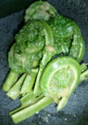 山菜　こごみのゴマ酢味噌和え-レシピのメイン写真
