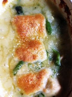 残りのシチューでほうれん草グラタン-レシピのメイン写真