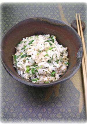 薬膳家レシピ:じゃこ菜飯-レシピのメイン写真
