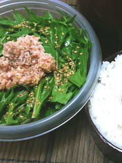 お弁当専用♪水菜とツナのサラダ♪-レシピのメイン写真
