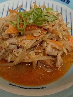 鶏肉ともやしの坦々風炒め-レシピのメイン写真