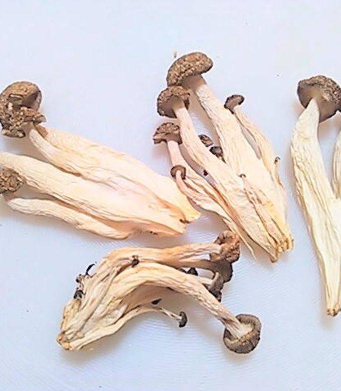 太陽いっぱい浴びた干ししめじ(*^^*) by ハートフルキッチン麗