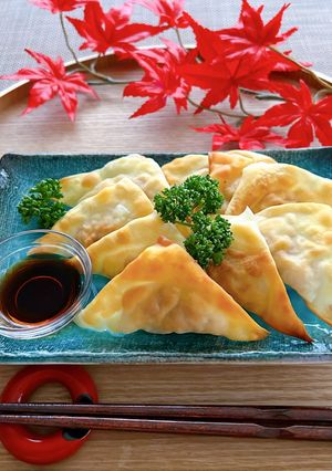 簡単おつまみ★焼きワンタン-レシピのメイン写真