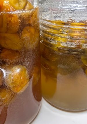 青梅と南高梅の酵素シロップ-レシピのメイン写真