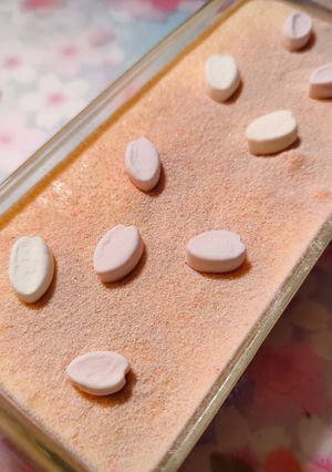 簡単美味❀春の桜ティラミス-レシピのメイン写真