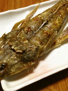 マゴチの塩焼き-レシピのメイン写真