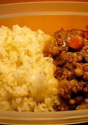 アジア風ドライカレー-レシピのメイン写真