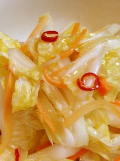 白菜の甘酢漬け-レシピのメイン写真
