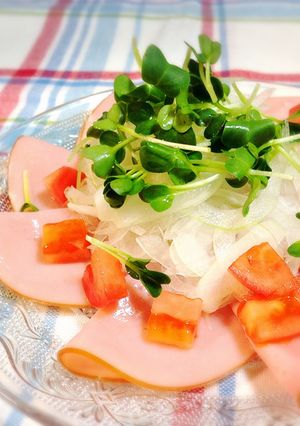 ＊ロースハムと新玉ねぎのマリネサラダ＊-レシピのメイン写真