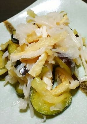 茄子と炙りうす揚げ・えのきのおろしあえ♪-レシピのメイン写真