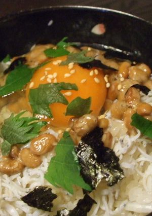 あっさりしらす丼-レシピのメイン写真