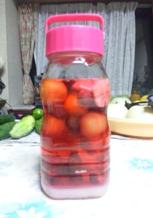 にぎやかすもも酒-レシピのメイン写真