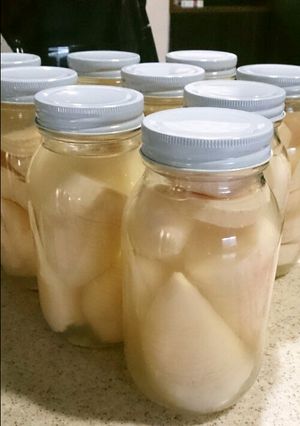 筍のした茹で＆瓶詰め-レシピのメイン写真