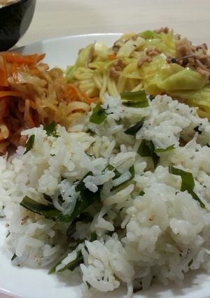 簡単♡しらす入りのわかめご飯-レシピのメイン写真