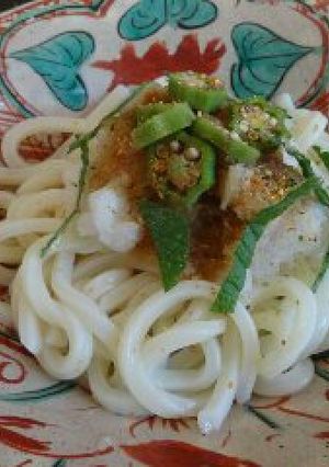 ミント、おろしうどん。うまっ!!-レシピのメイン写真