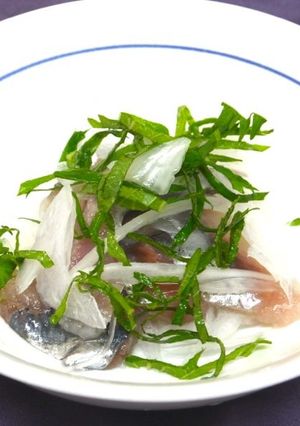 あじと新たまねぎの盛り合わせ-レシピのメイン写真