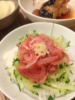 生桜海老を乗せるだけ丼-レシピのメイン写真