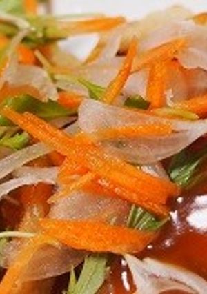 サジーあんかけ-レシピのメイン写真
