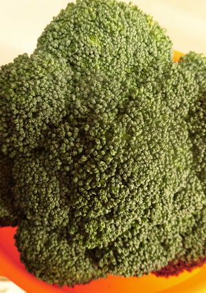 ブロッコリーは料理前に水を♪-レシピのメイン写真
