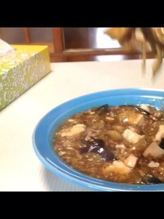 茄子と豆腐のミックス麻婆-レシピのメイン写真