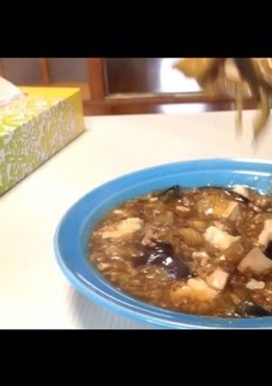 茄子と豆腐のミックス麻婆-レシピのメイン写真