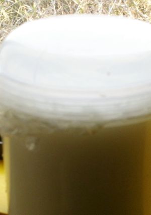 自家製LG21空気に触れずに醗酵！-レシピのメイン写真