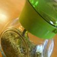 自家製ドライオレガノ