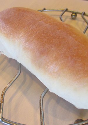 懐かしい給食の味！素朴なコッペパン-レシピのメイン写真