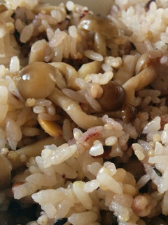 しめじご飯-レシピのメイン写真
