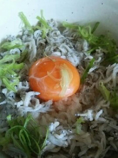 しらす丼-レシピのメイン写真