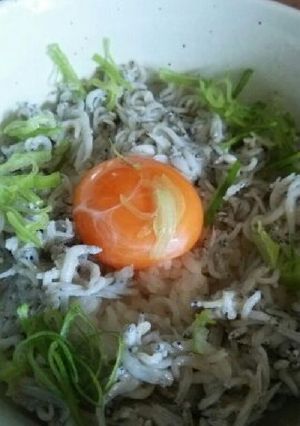 しらす丼-レシピのメイン写真