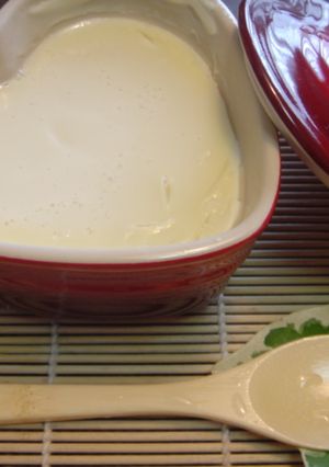 ルクルーゼで簡単手作り豆腐-レシピのメイン写真
