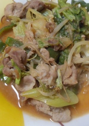 ☆モヤシでかさ増し♪回鍋肉☆-レシピのメイン写真