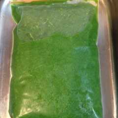 A picture of よもぎの下茹と冷凍保存(よもぎペースト).