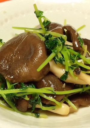 霜降りひらたけと豆苗のナムル風炒め-レシピのメイン写真