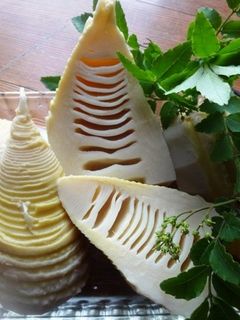 タケノコの茹で方・覚え書き-レシピのメイン写真