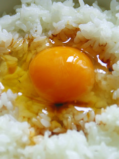 卵かけご飯~かつおしょうゆ~-レシピのメイン写真