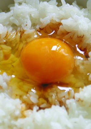 卵かけご飯~かつおしょうゆ~-レシピのメイン写真
