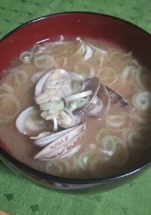 あさりの味噌汁-レシピのメイン写真