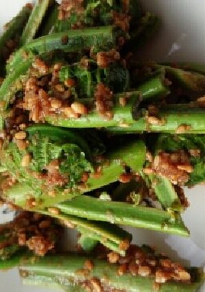 春の味☆こごみの胡麻和え-レシピのメイン写真